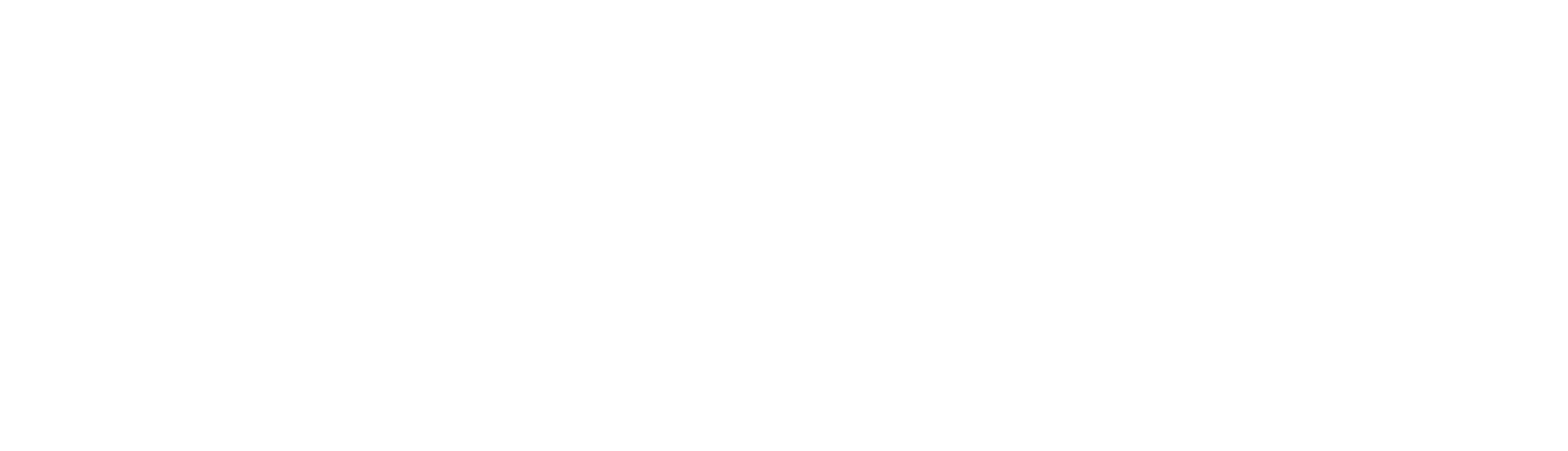 SmartFlyer Society